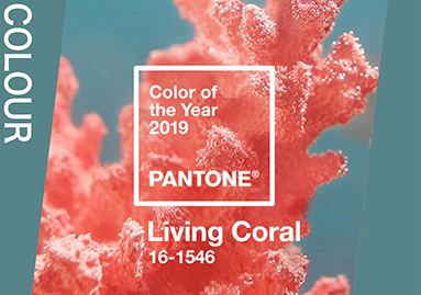 珊瑚橘--PANTONE 2019年度色发布